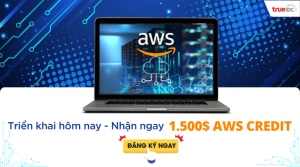Aws Credit Web